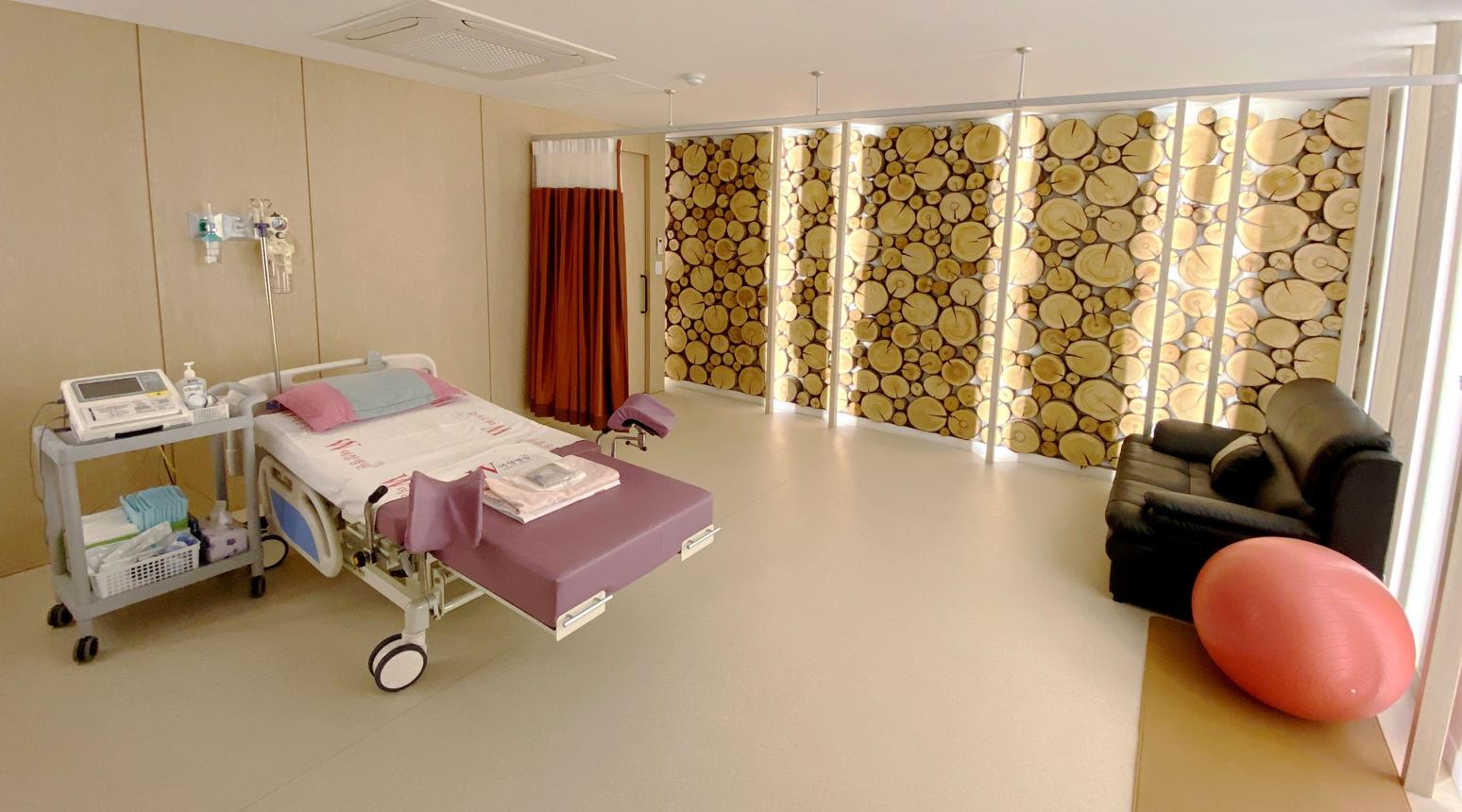 Obstetrics & Gynecology in Korea