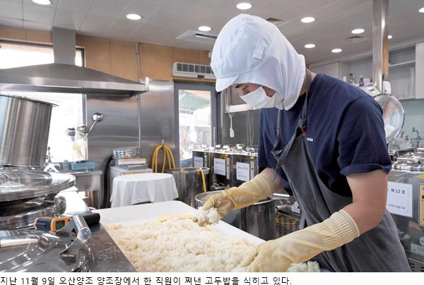 Everything starts with grain — Korean Traditional Liquor & Makgeolli Experience in Korea