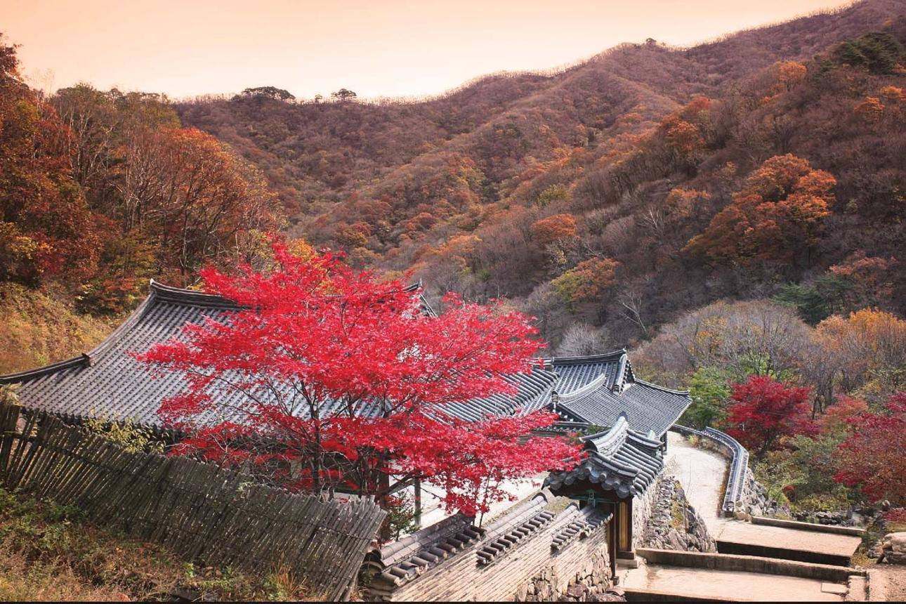 Idea 10 — autumn in korea — Make Your Own Perfume In Seoul in Korea
