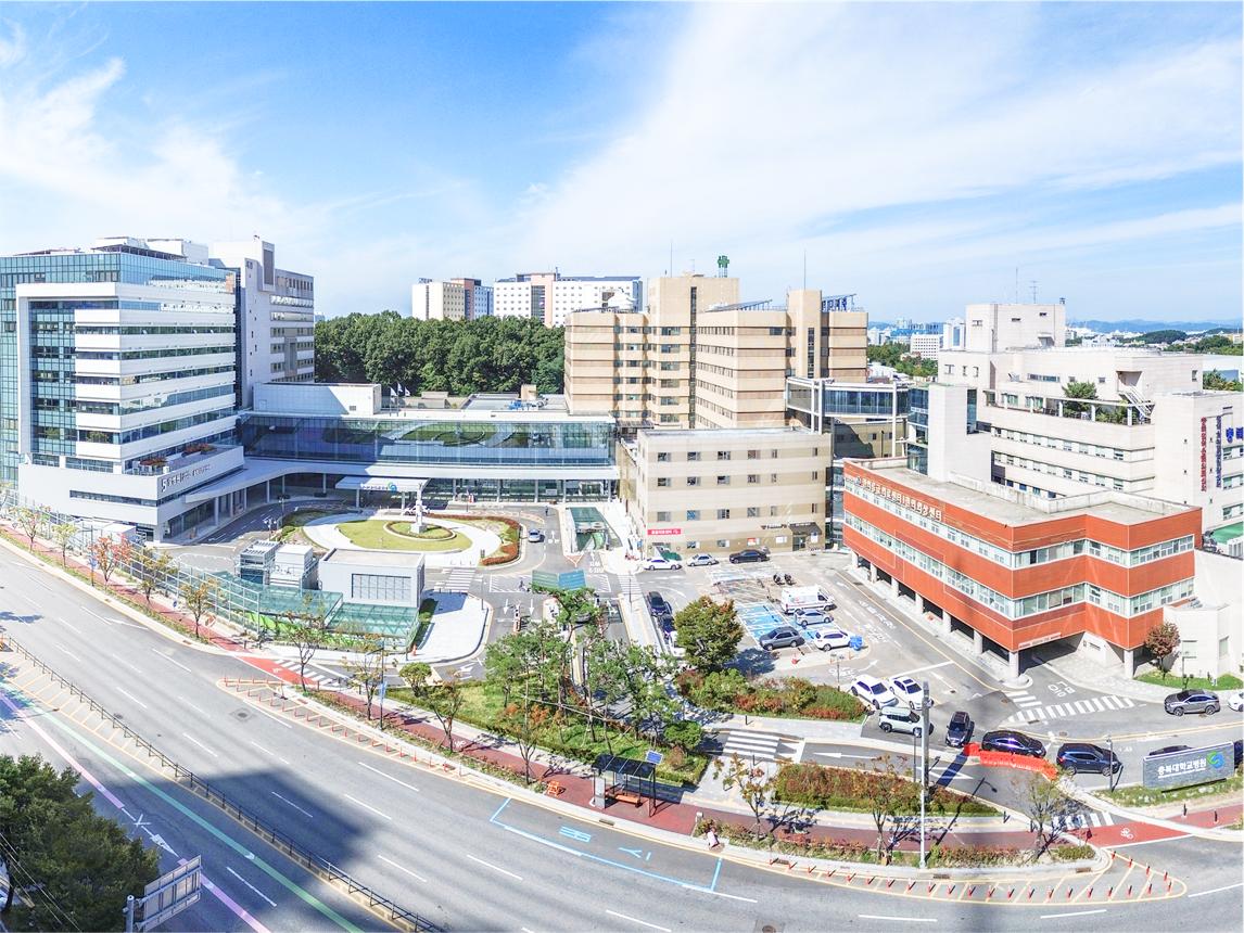 Chungcheong Region — Major Hospitals