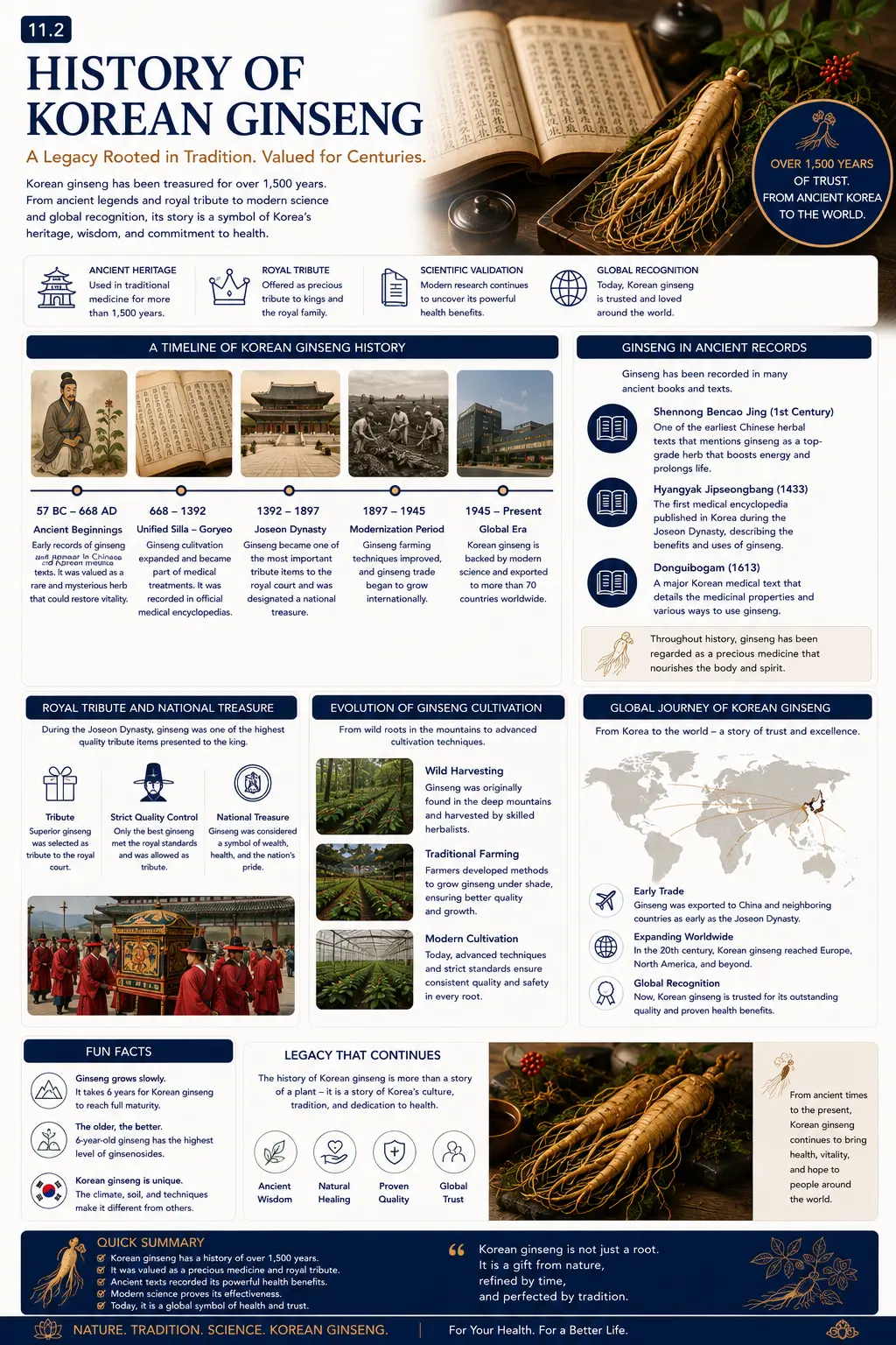 History of Korean ginseng infographic — a timeline of Korean ginseng history, ginseng in ancient records, royal tribute and national treasure, evolution of cultivation and the global journey of Korean ginseng