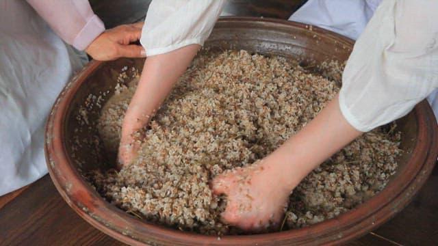 Everything starts with grain — Korean Traditional Liquor & Makgeolli Experience in Korea