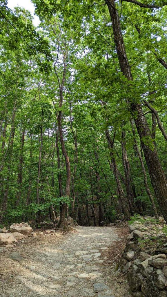 Green · woody · earthy — Make Your Own Perfume In Seoul in Korea