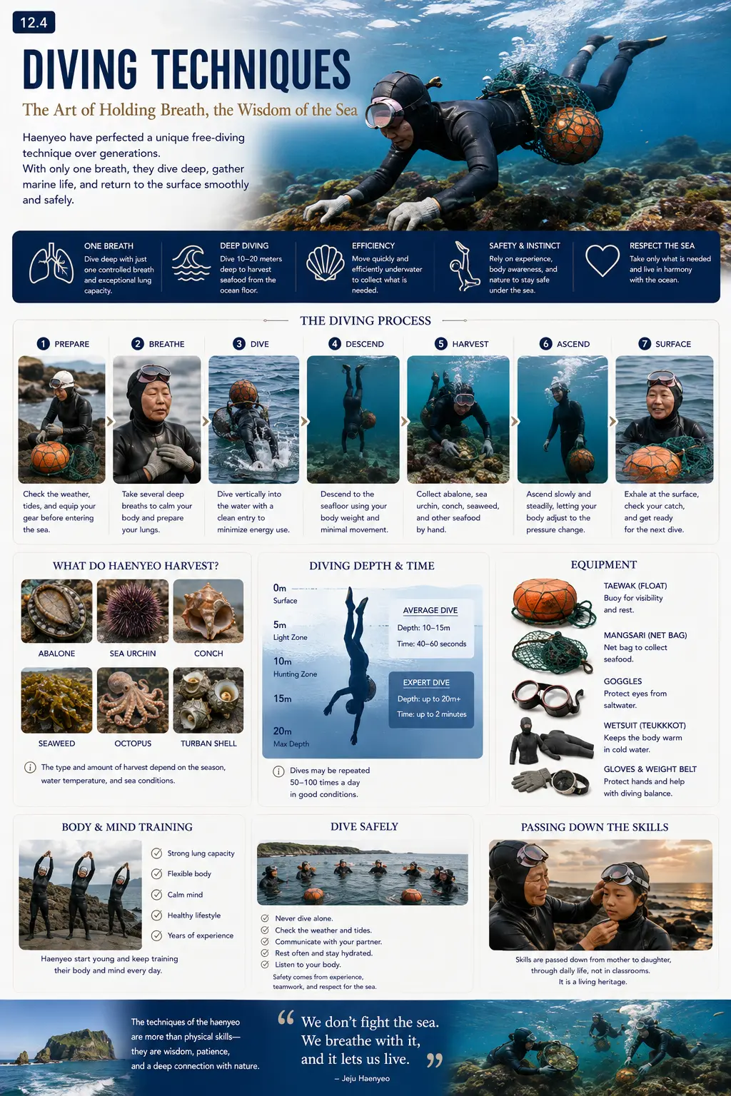 Diving techniques infographic — the seven-step diving process, what haenyeo harvest, diving depth and time, equipment, body and mind training and diving safely