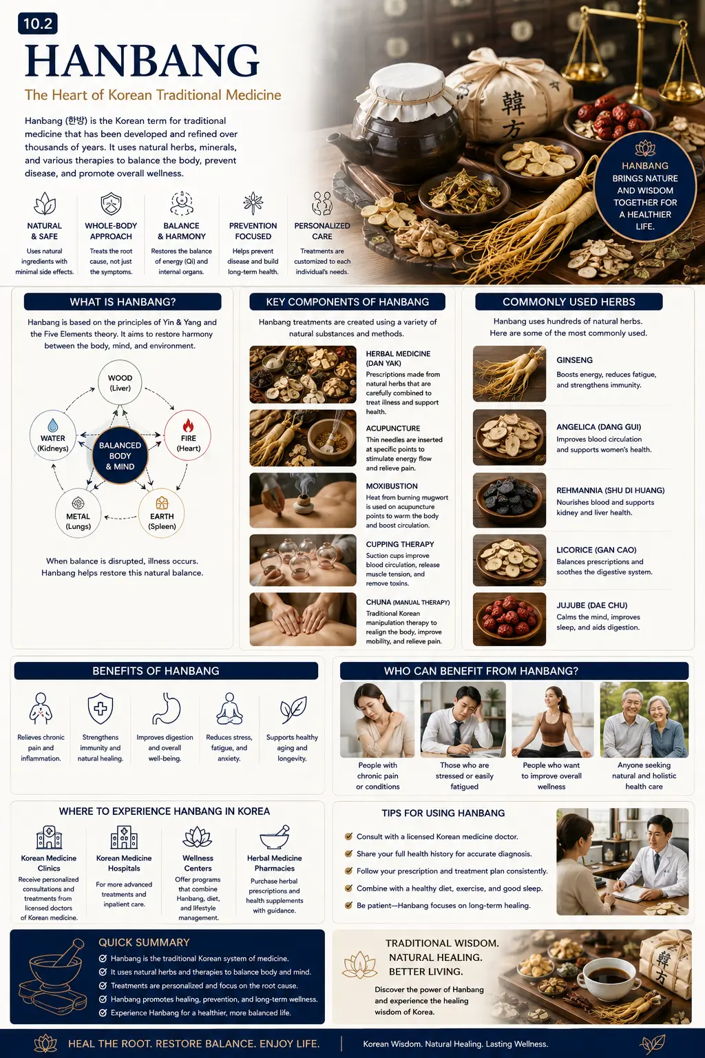 Hanbang infographic — what is Hanbang, key components, commonly used herbs, benefits, who can benefit, where to experience Hanbang in Korea and tips for using Hanbang