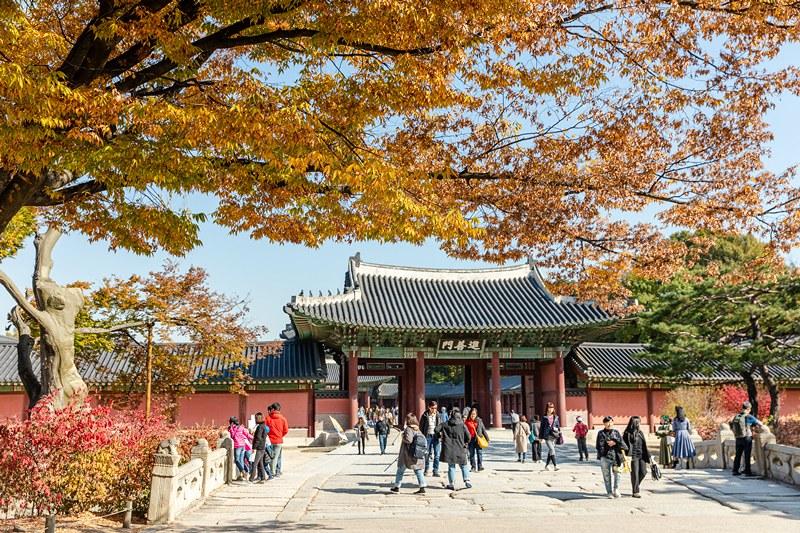 Cheonggyecheon evening walk — Korean Traditional Liquor & Makgeolli Experience in Korea