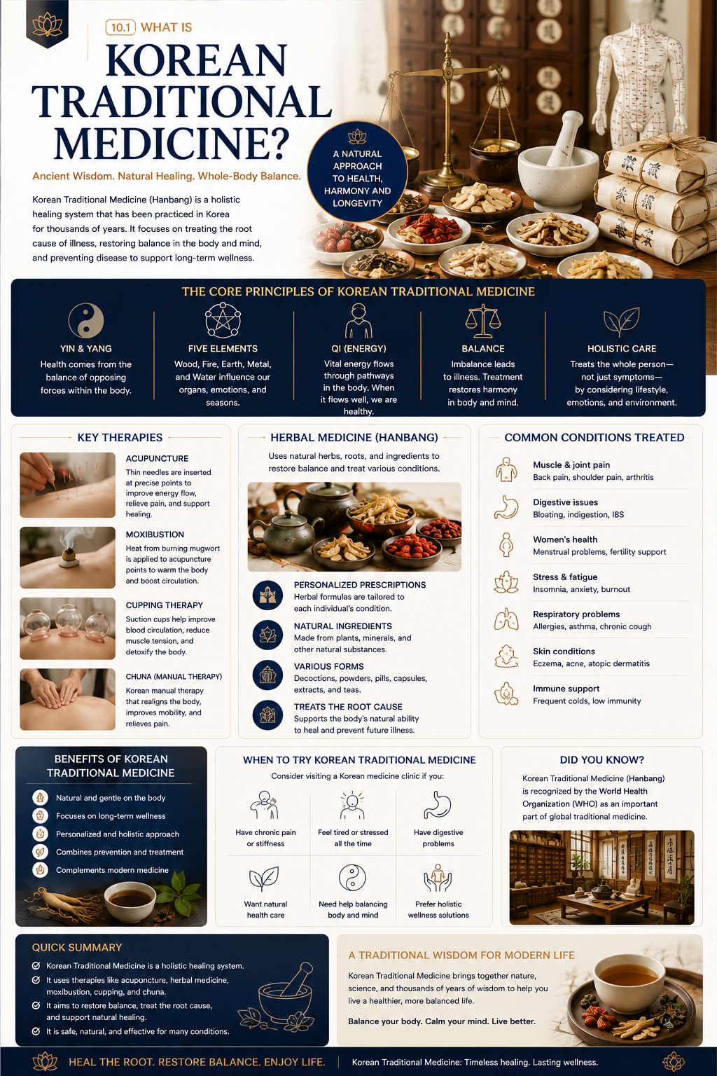 What is Korean Traditional Medicine infographic — core principles, key therapies, herbal medicine, common conditions treated, benefits and when to try Korean traditional medicine