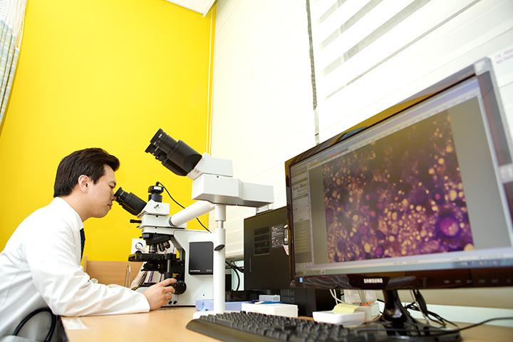 Hematology & Blood Disorders in Korea