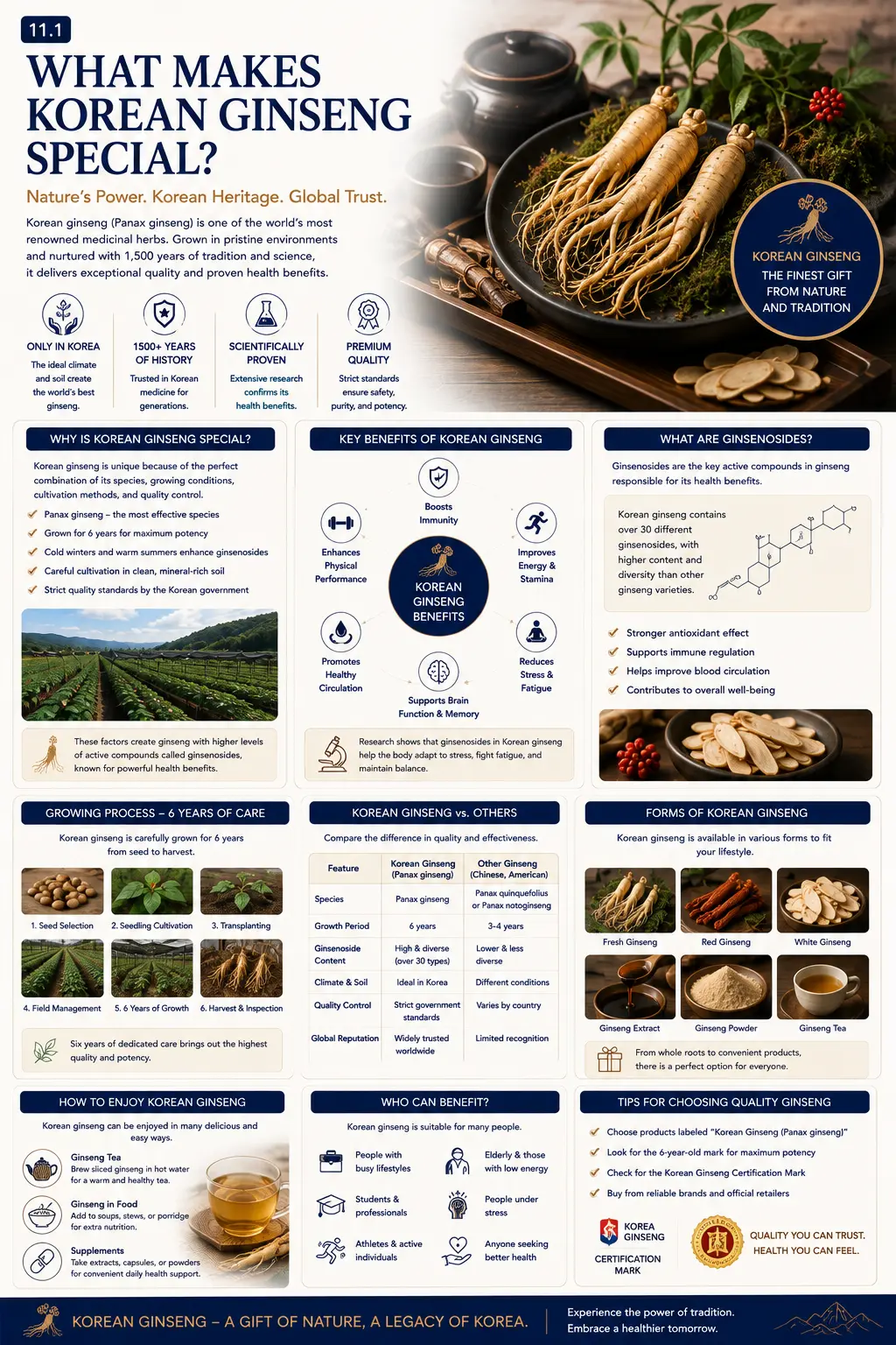 What makes Korean ginseng special infographic — why Korean ginseng is unique, key benefits, ginsenosides, the six-year growing process, Korean ginseng compared with others, forms of ginseng and tips for choosing quality ginseng