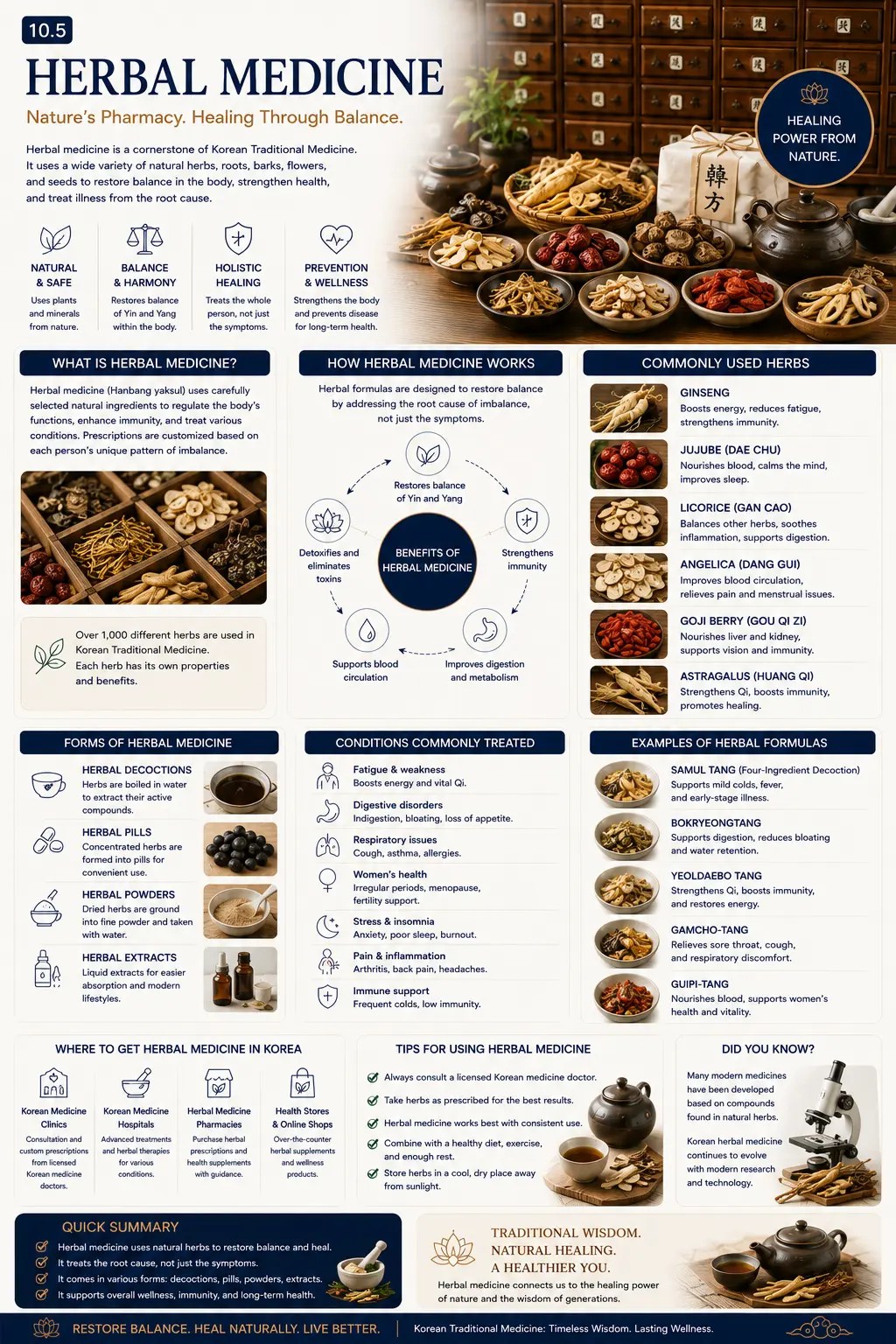Herbal medicine infographic — what is herbal medicine, how it works, commonly used herbs, forms of herbal medicine, conditions treated, herbal formulas, where to get herbal medicine in Korea and tips