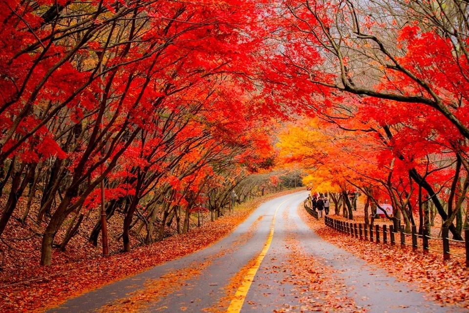 Idea 10 — autumn in korea — Make Your Own Perfume In Seoul in Korea