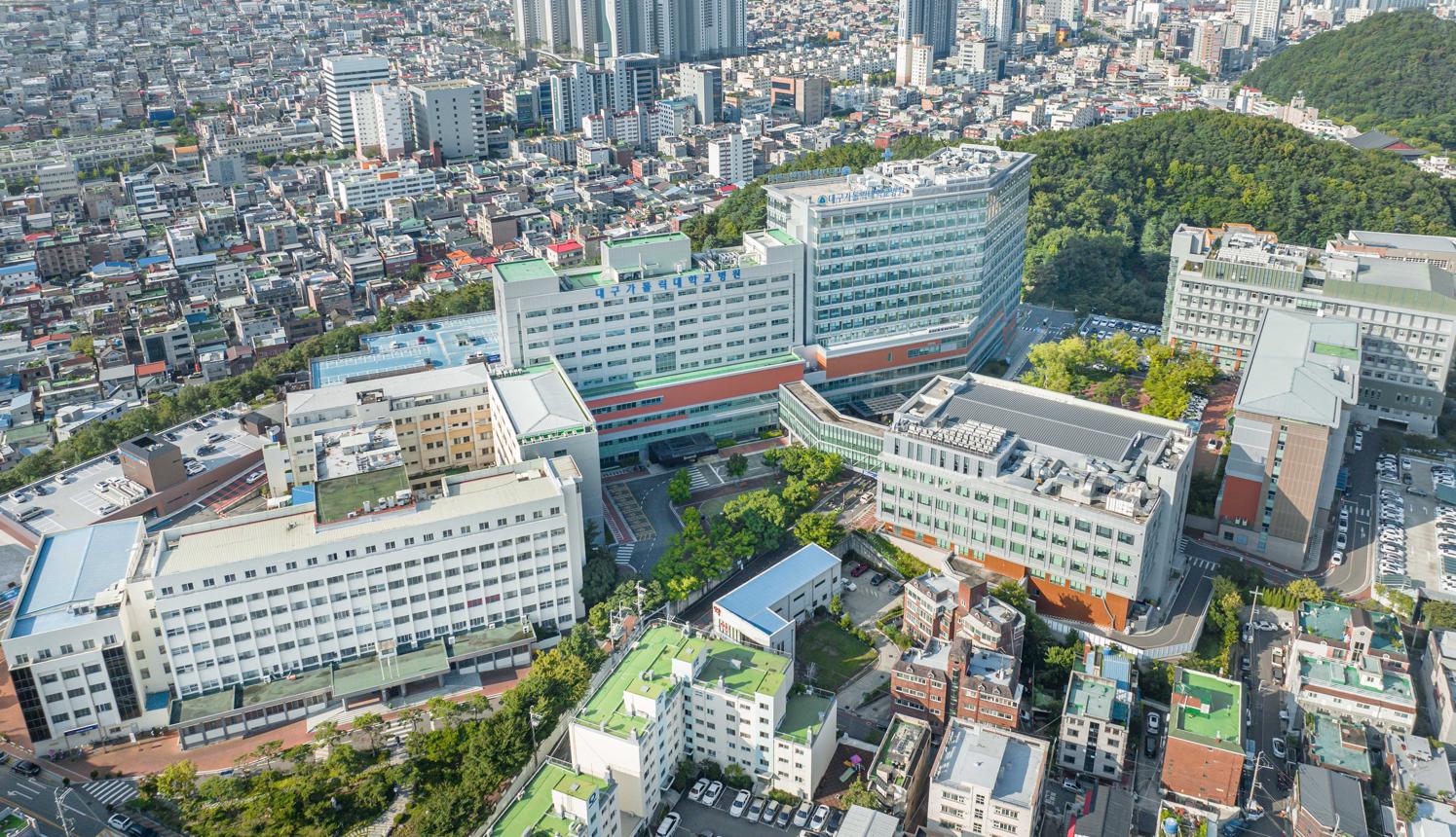 Daegu — Major Hospitals