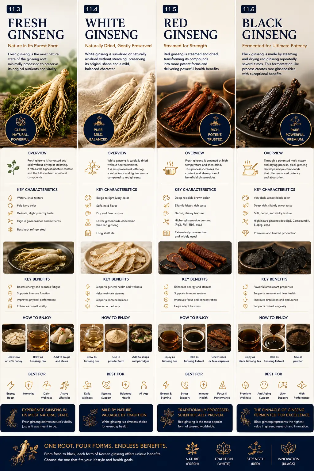 Fresh, white, red and black ginseng infographic — overview, key characteristics, key benefits, how to enjoy and best uses for each form of Korean ginseng