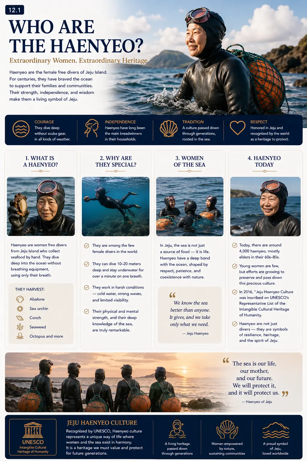 Who are the Haenyeo infographic — what a haenyeo is, why they are special, women of the sea, haenyeo today and UNESCO recognition of Jeju haenyeo culture