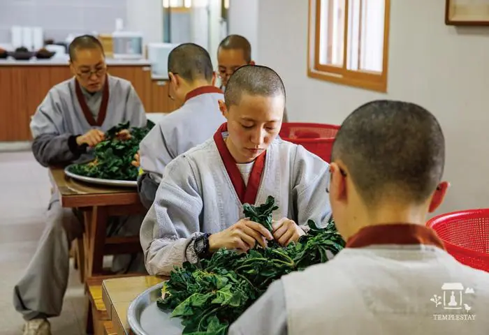 Seasonal Temple Cooking — Royal Cuisine & Temple Food
