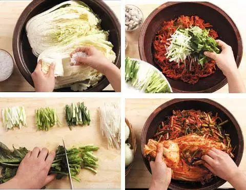 How Kimchi Fermentation Works — Korean Fermentation Culture