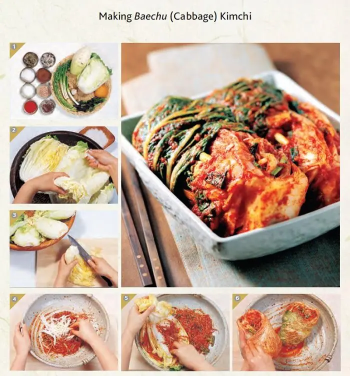 How Kimchi Fermentation Works — Korean Fermentation Culture