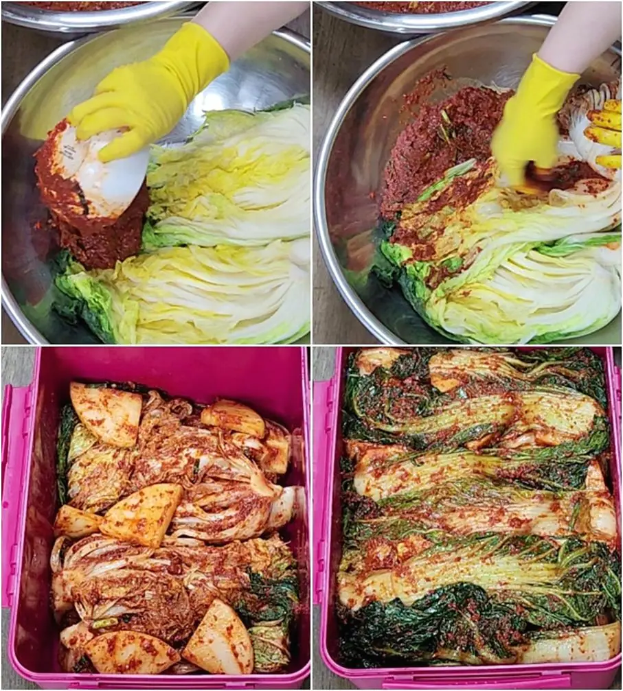How Kimchi Fermentation Works — Korean Fermentation Culture