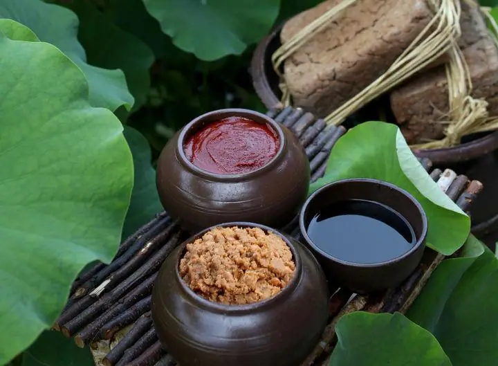 Jang Culture — Korean Fermentation Culture