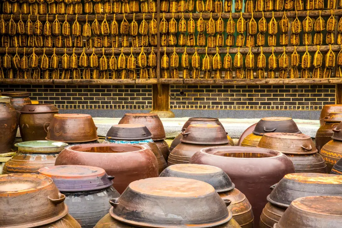 Jang Culture — Korean Fermentation Culture