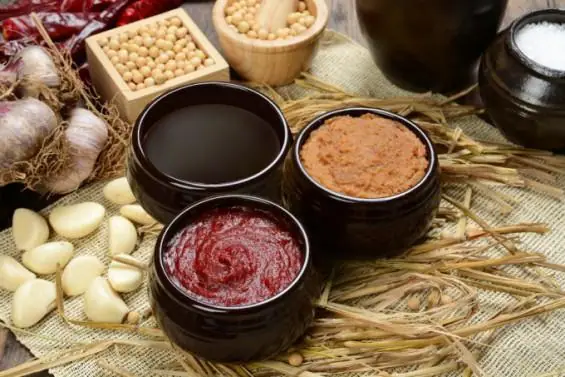 Jang Culture — Korean Fermentation Culture