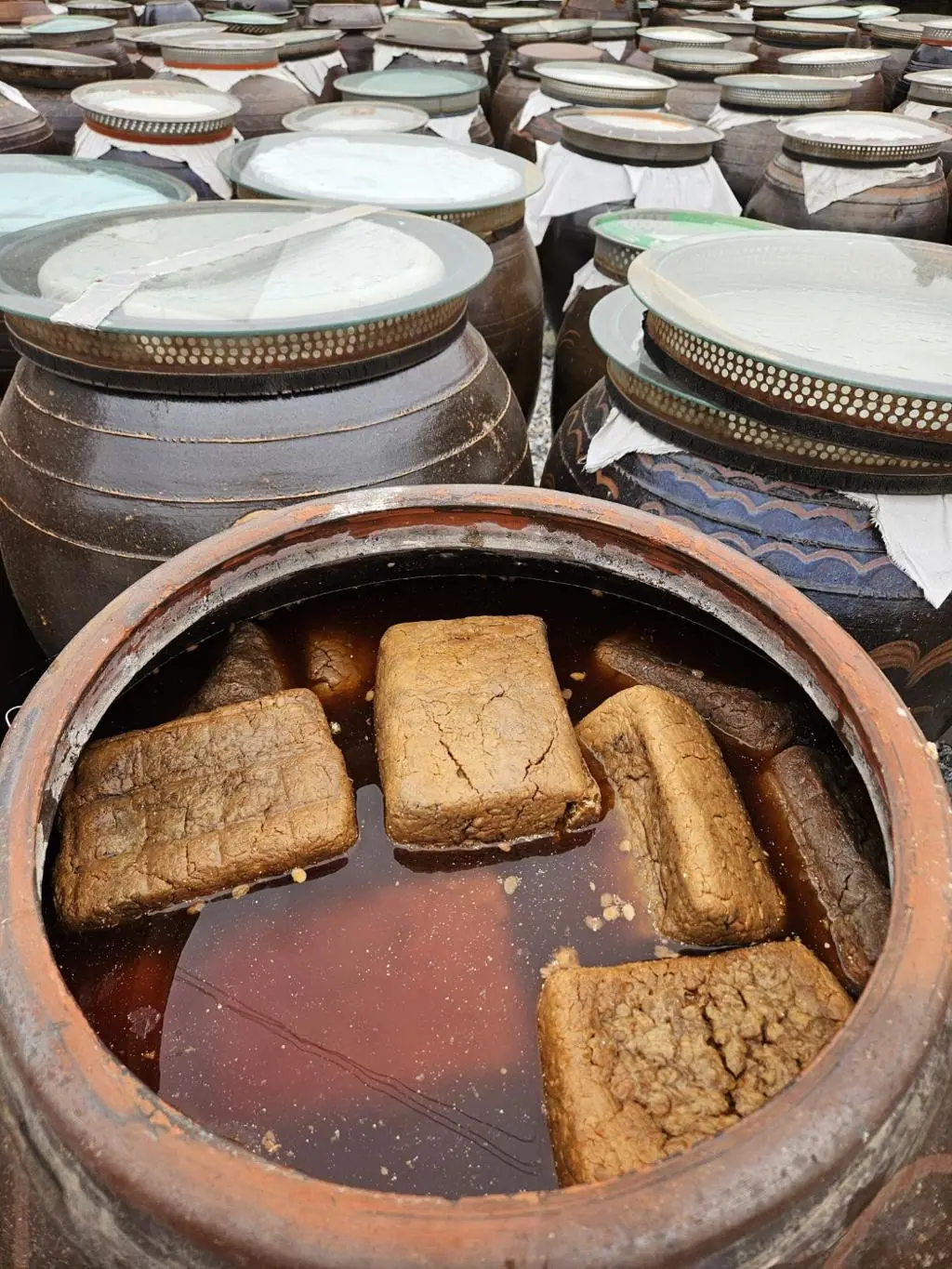 Traditional Fermentation Process — Korean Fermentation Culture