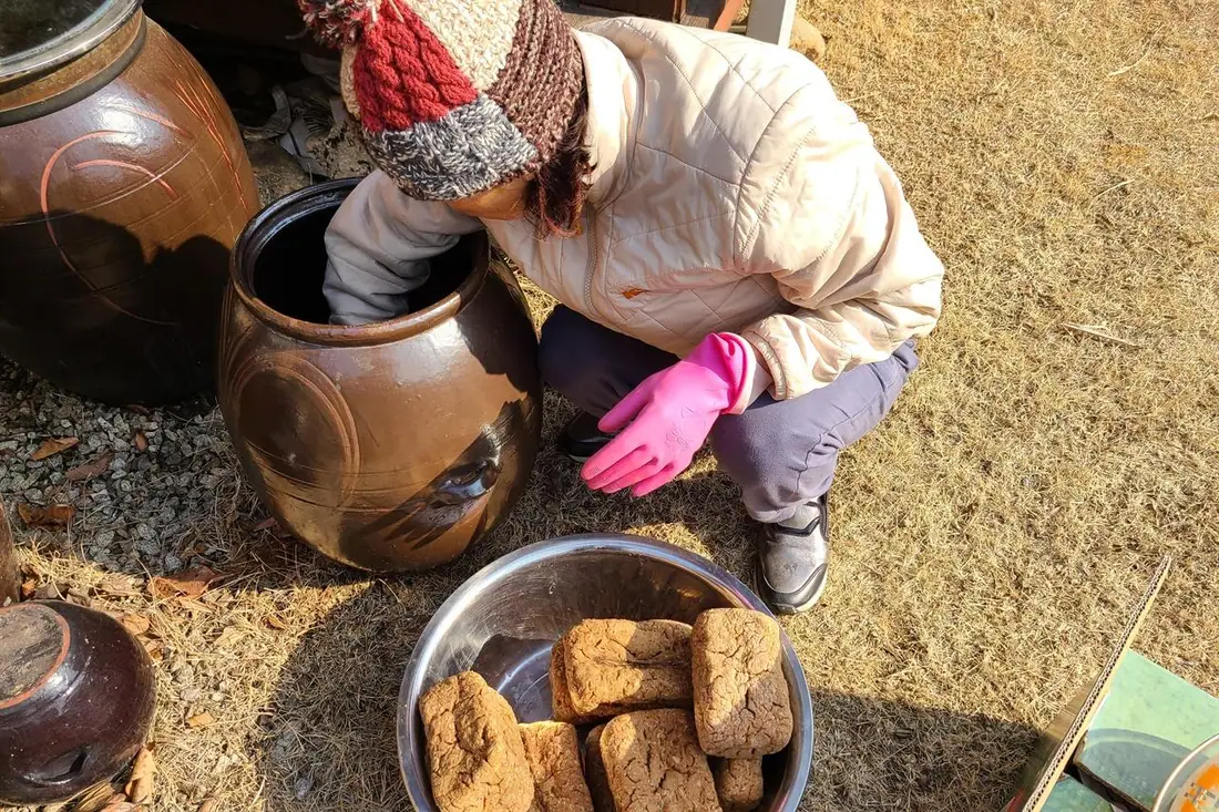 Traditional Fermentation Process — Korean Fermentation Culture