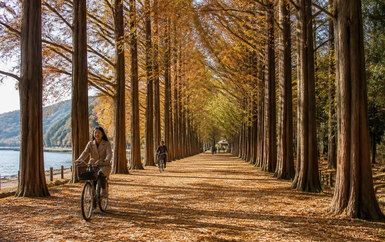 Nami Island, South Korea