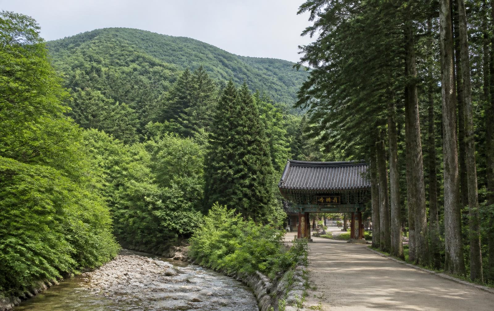 Odaesan National Park, South Korea