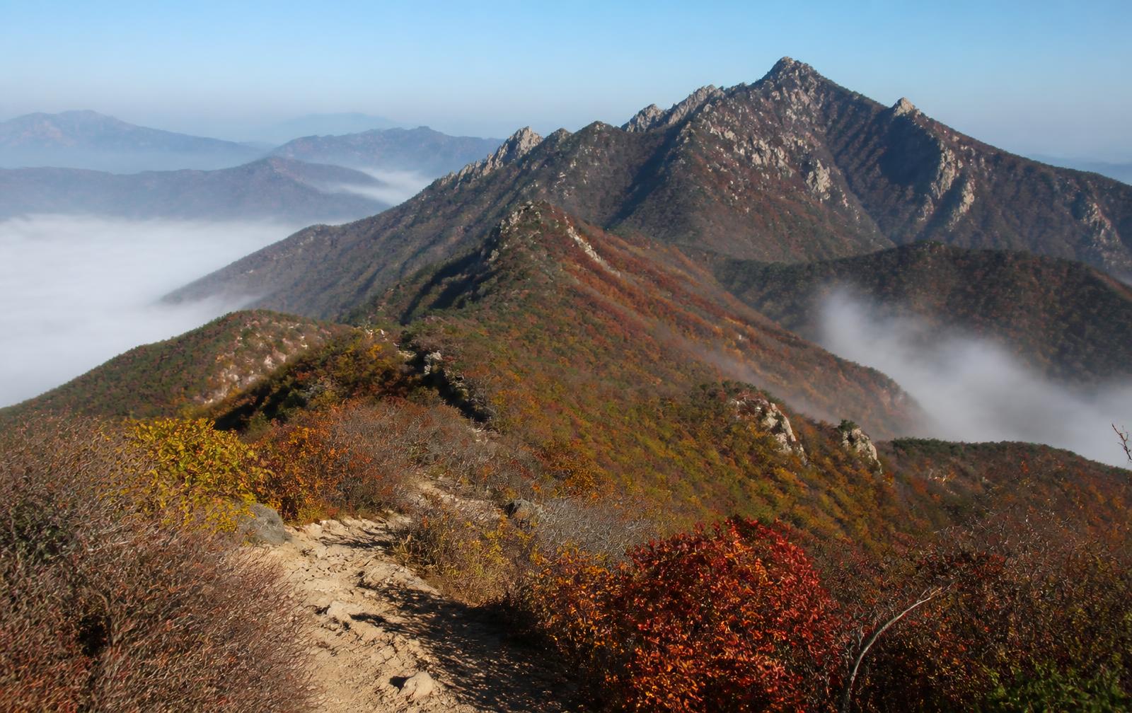 Korean mountain ridges with autumn foliage and mist filling the valleys