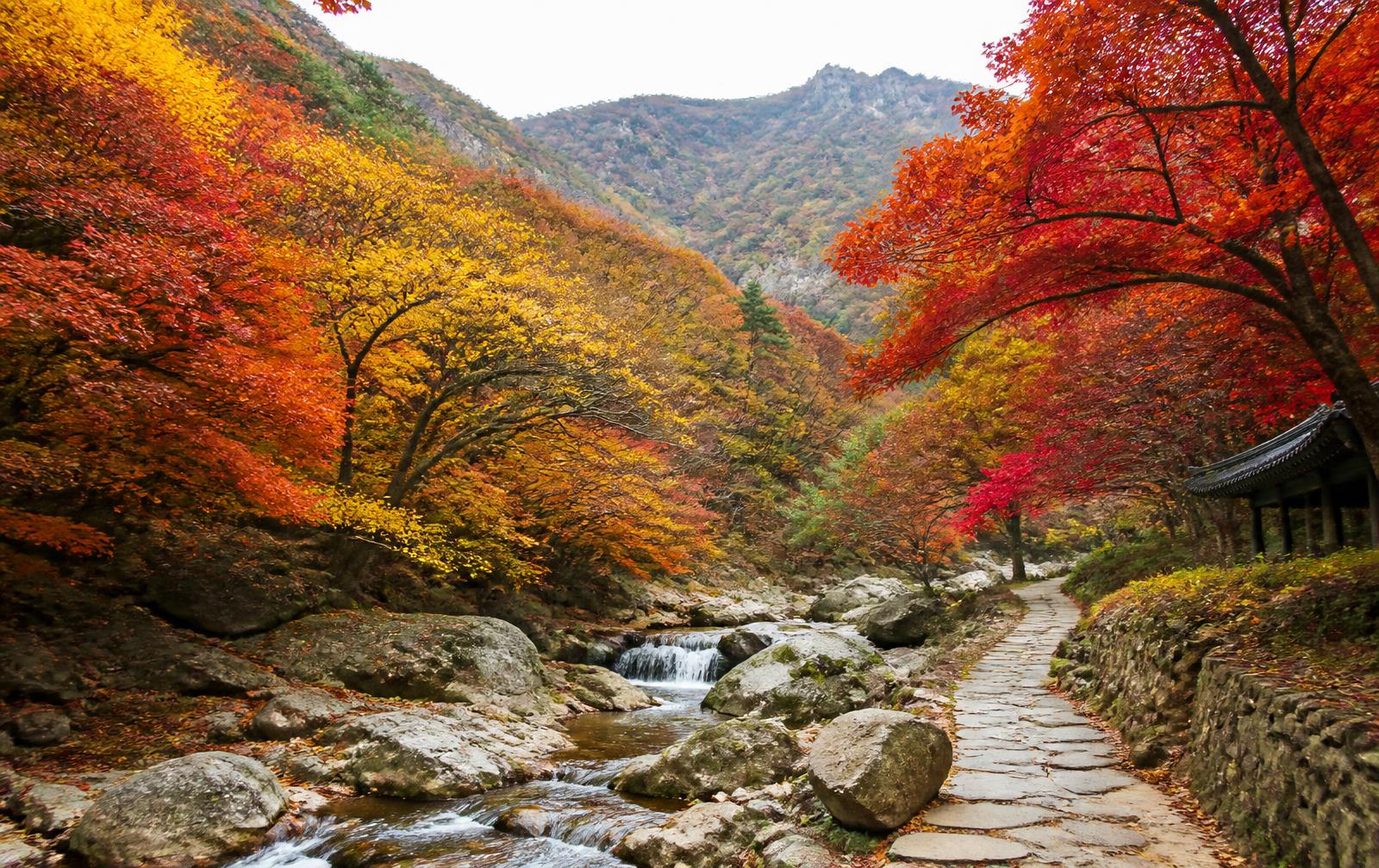 Seasonal Nature in Korea